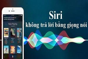 Hướng dẫn khắc phục sự cố Siri không trả lời bằng giọng nói