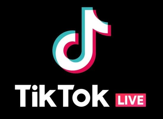 Có cách xem lại livestream của người khác trên TikTok hay không?