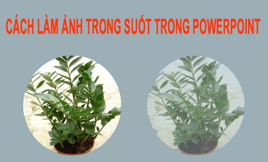 Cách làm ảnh trong suốt trong PowerPoint chi tiết từ A-Z