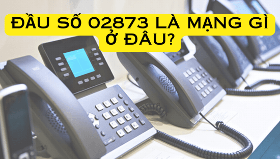 Đầu số 02873 là mạng gì ở đâu? Cách nhận biết đầu số và thông tin liên quan