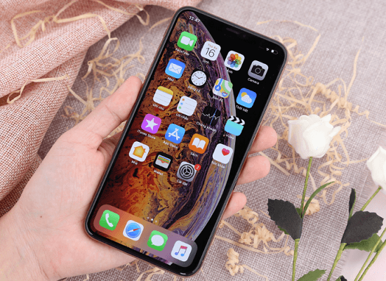 Thủ thuật khắc phục iPhone Xs Max đơ màn hình