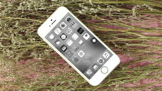 Cách tắt màn hình đen trắng trên iPhone trong nháy mắt