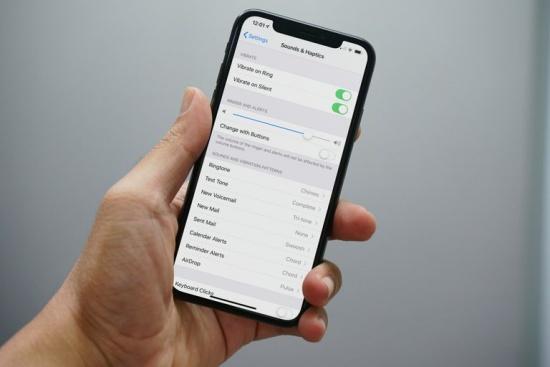Hướng dẫn cài đặt chế độ rung cho iPhone X trong 1 nốt nhạc