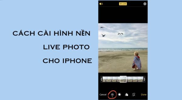 Cách cài hình nền Live Photo cho iPhone nhanh nhất