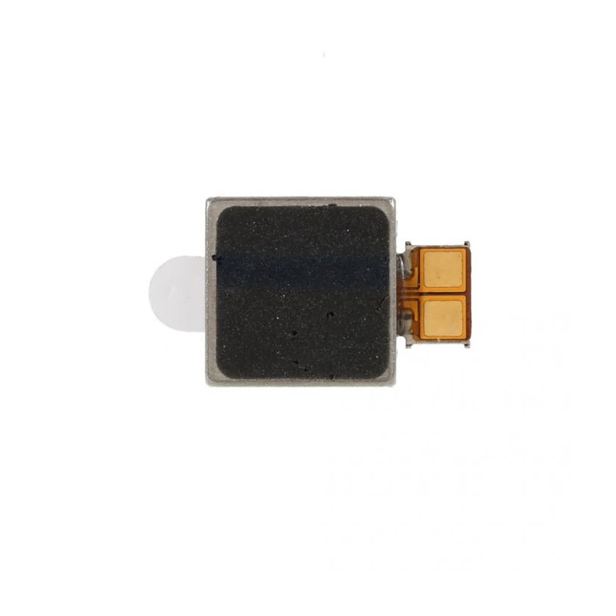 Thay rung Samsung Note 10 Plus