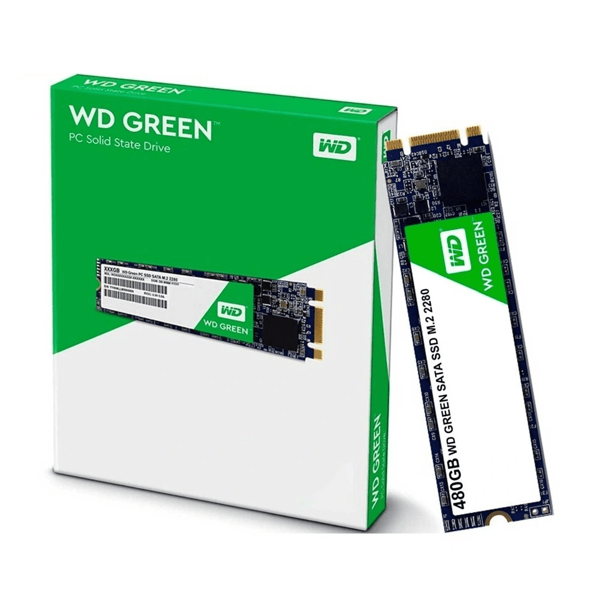 Thay ổ cứng SSD 480GB WD Green M.2 2280 SATA 3 - WDS480G2G0B