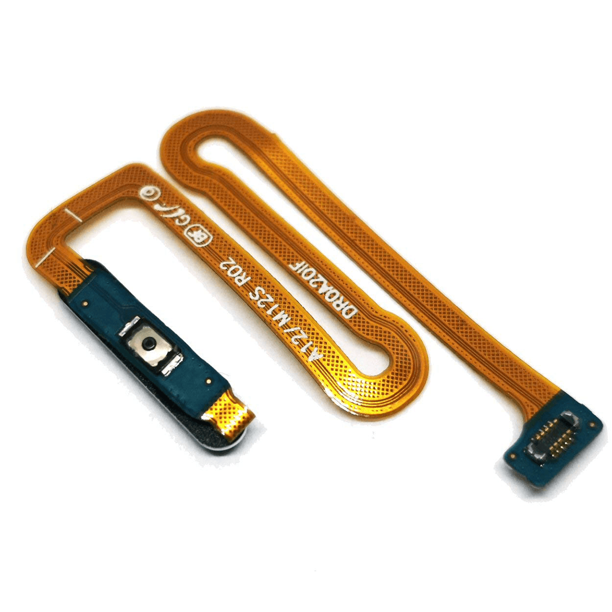 service-main-image