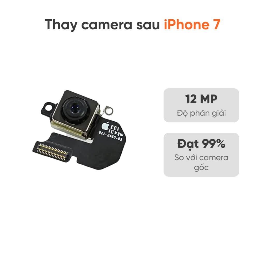 Thay camera sau iPhone 7