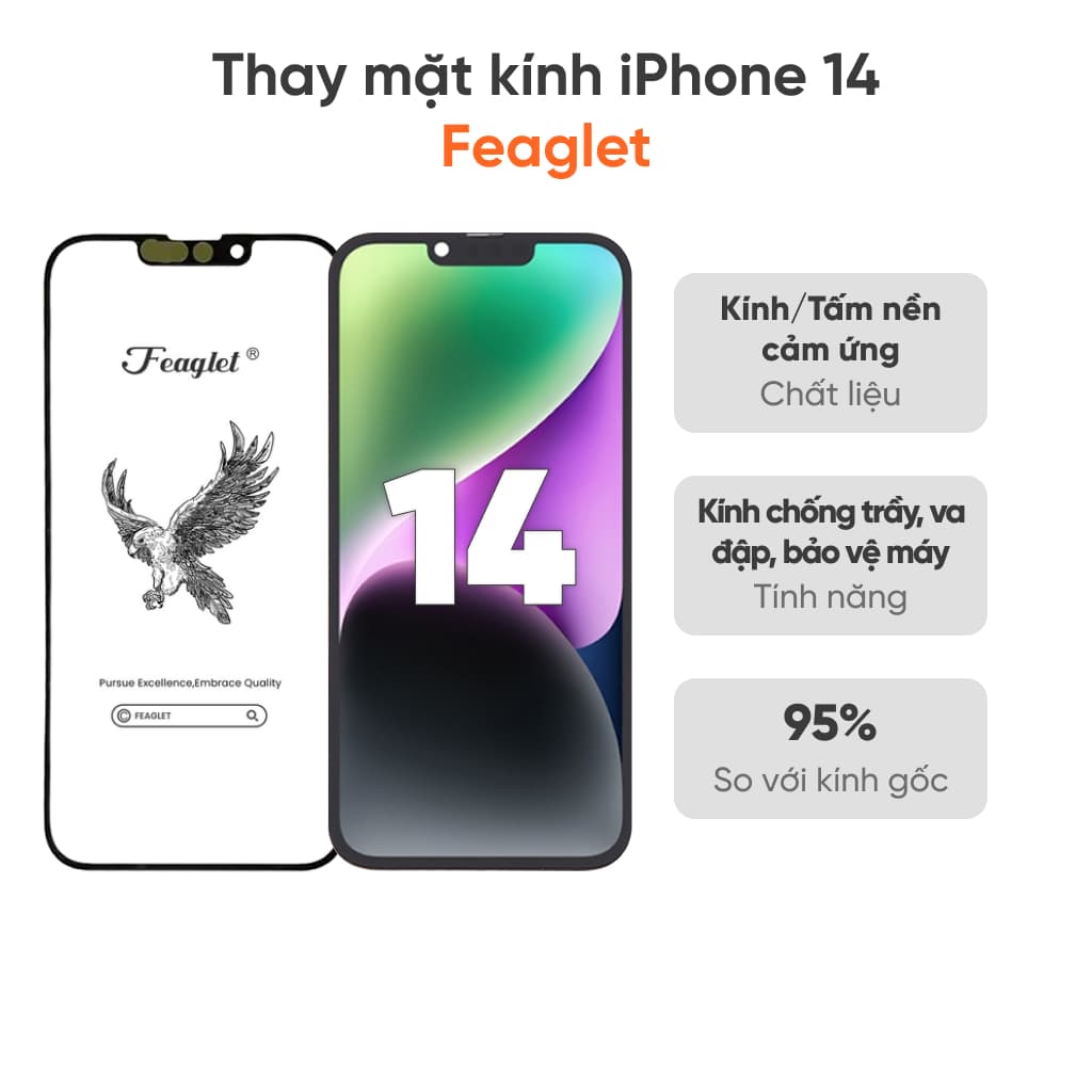 Kính Feaglet